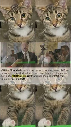 FUNNIEST Kittens and Puppies Best Bloopers Compilation 🤣🤣🤣 2223s