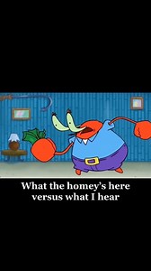 #Holley #terminatorx #EFI #Boosted #foxbody #turbo #mustang #foryou #foxbodymustang | FoxbodyNation4life