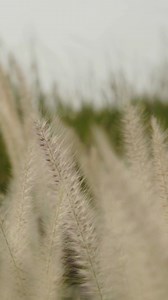 From Garden Brunches to Golden Sunsets, 🌞 every piece tells a story of Comfort, Craftsmanship, and connection. 🌿 | 2XL Home