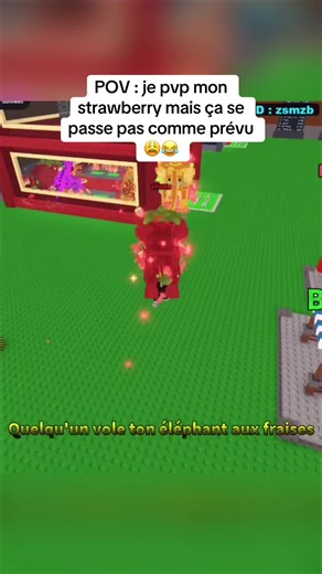 PVP Étonnant dans Roblox avec Mon Petit Frère