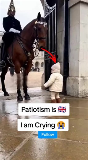 Royal Guard Salute: A Display of British Patriotism