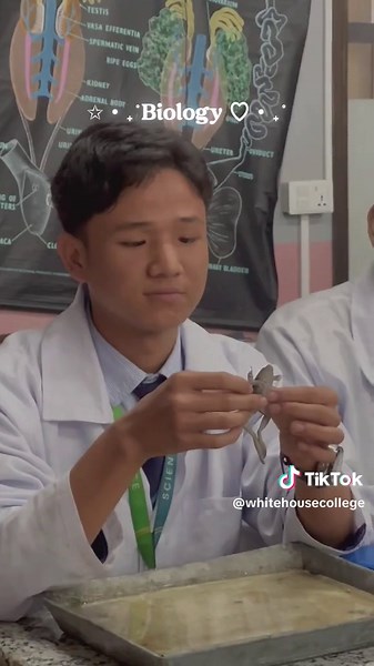 whitehousecollege on TikTok