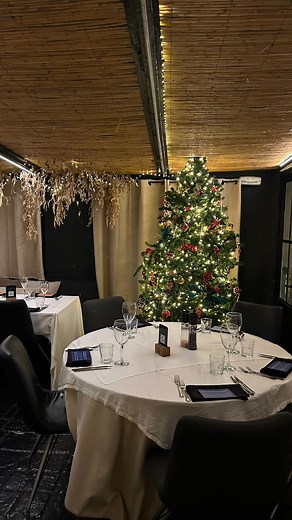 Christmas came early at Finca La Vuelta ✨ We couldn’t wait to bring the holiday magic to the restaurant… and here’s the final result! 🌟🎄 #Christmas #ChristmasVibes #ChristmasDecor #HolidaySeason #FestiveVibes #ChristmasMood #ChristmasTime #HolidayMagic | La Vuelta Finca