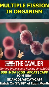 Multiple Fission in Organism Multiple Fission: The process of asexual...