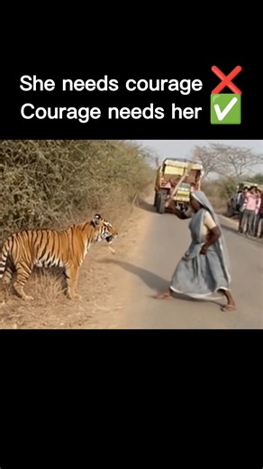 She needs courage ❌Courage needs her ✅ | True Bravery Caught on Camera#tiger#brave#respect#funny
