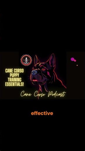🎉 Why Positive Reinforcement is Key for Cane Corso Training! #CaneCorso #PositiveTraining