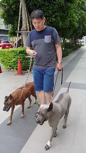 312K views · 10K reactions | YOU'II NEVER WALK ALONE พา #ลำดวน มาเยี่ยม #ทองดี ... | สรยุทธ สุทัศนะจินดา กรรมกรข่าว | Facebook