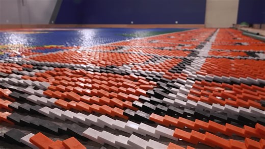 World Record Domino Robot (100k dominoes in 24hrs)
