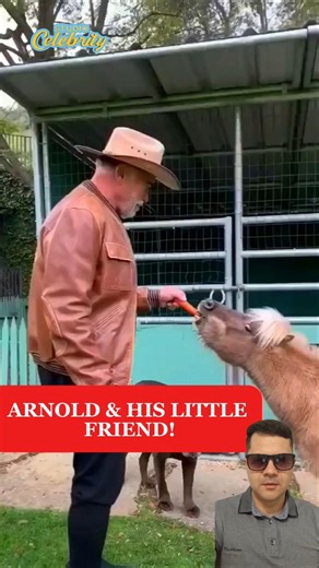 Arnold Schwarzenegger and his pony ride #arnoldschwarzenegger