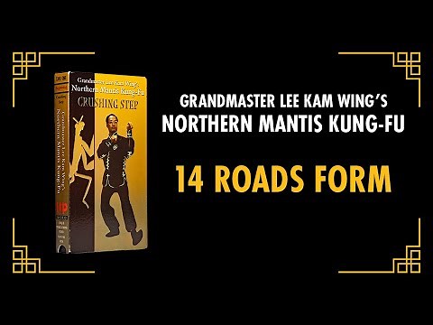14 Roads Form [EXCERPT] Grandmaster Lee Kam Wing's Northern Praying Mantis Kung-Fu