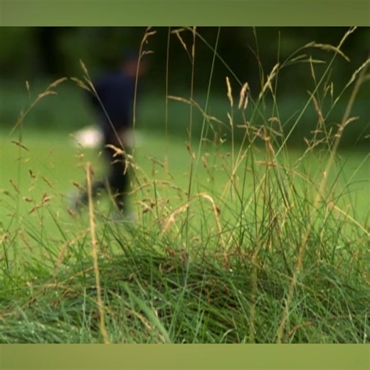 8.6K views · 38 reactions | Rewind to the first episode of a Golf Channel classic 22 years ago. 奈 Big Break x Good Good tees off August 2026. | Golf Channel | Facebook