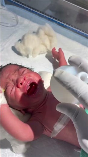 Chestryped for newborn baby😌 #sumitnicunursingstm #youtubeshorts #nursin #newbornbaby #chestworkout