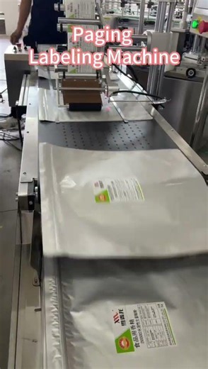 Paging Labeling Machine | Automatic Flat Product Labeling Solution
