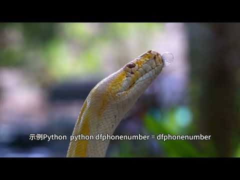 处理不同数据源的格式差异.数据标记的实际应用 筛选高意向客户的其他指标