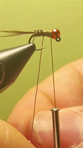 You NEED this fly (The Frenchie Nymph - Tutorial) #flyfishing #flytying #nymphs