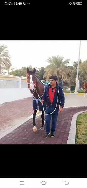 Shayan swati (@shayan_sawati)’s videos with original sound - Sultan Ateeq Rehman ✅