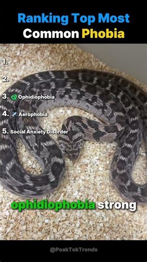 😱 Ranking Top 5 most common Phobias.....