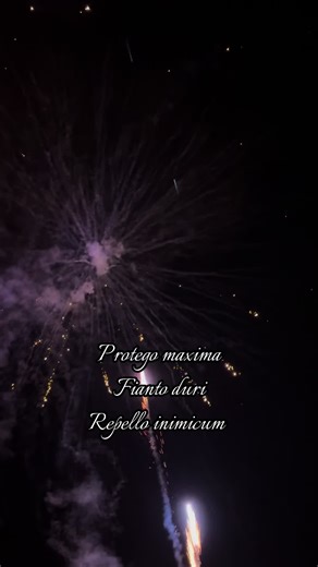 #harrypotter #hogwarts #fyp #viral #fireworks