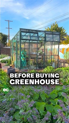 I wish I knew this before building a greenhouse...