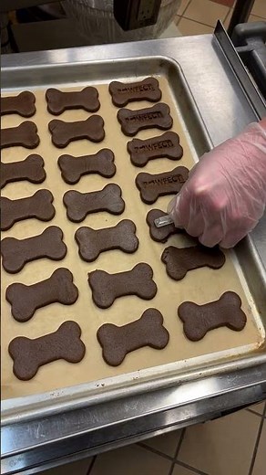 Dogtopia & Pawfectly Delicious Dog Treats!