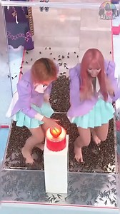 1.1M views · 8.2K reactions | Insect Room #ตลก #คลิปตลก #funny #มุกตลก #japanese | Chayut Chartyingjaroen | Facebook