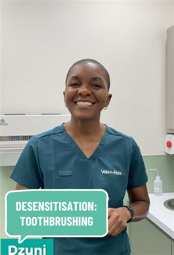 We always get asked: “Where do I start?” 🤷‍♀️🪥 Here’s some tips how! #toothbrush #tooth #toothpaste#vetsforpets #virbac