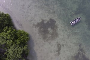 Islands in Tampa Bay - Boatsetter