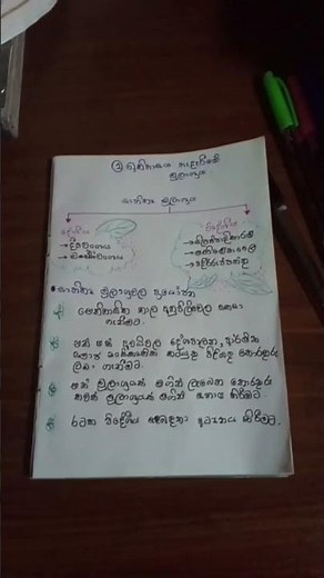 history grade 10 short note 😍