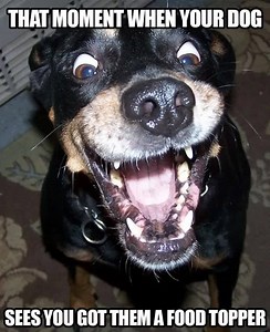 288 reactions · 22 shares | WOULD YOU WANT TO EAT THE SAME EXACT FOOD...