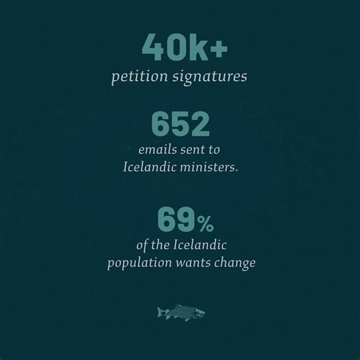 Björk on Instagram: "Tell Parliament to protect Icelandic nature and wild Atlantic salmon. The Icelandic aquaculture bill before Parliament is a pivotal moment for this keystone species, and as it stands, it is not enough to preserve the species and Iceland’s wilderness. Join us in a united call to tell Parliament to ban open-net ocean pen salmon farming and pass the strongest laws possible to protect this majestic species. Sign the petition which will be delivered at the end of May, via link i