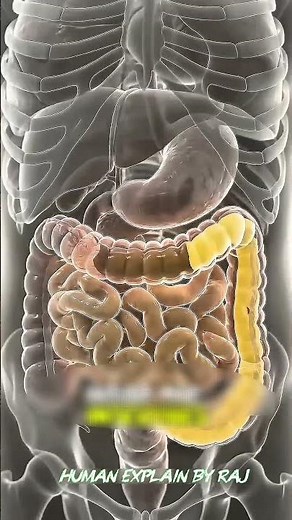 What Happens Inside Your Body After Drinking Ginger Tea? 😳🧠 #shorts #humanbody