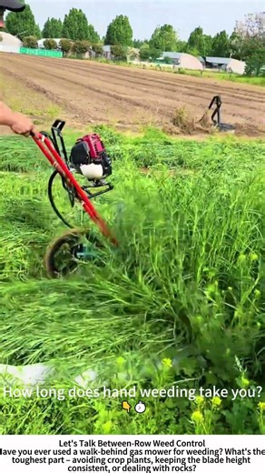 Mechanical Weeding – Push Gas Mower Clears Field Rows Fast 🌾🔧