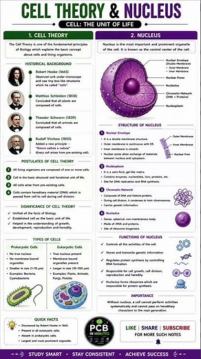 🔥 Cell Theory & Nucleus Explained | Structure, Functions & Cell Theory | Class 11 Biology