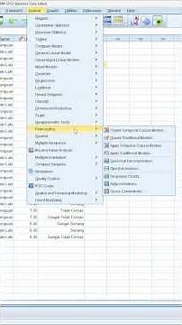 Uji Normalitas di SPSS | Tutorial Lengkap & Mudah untuk Penelitian