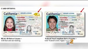 40K views · 194 reactions | 2 ON YOUR SIDE: Obtaining a federally compliant driver's license is proving to be a major hassle for some. Kristine Lazar has more. For more info, visit: https://www.dmv.ca.gov/portal/dmv/detail/realid | CBS LA | Facebook