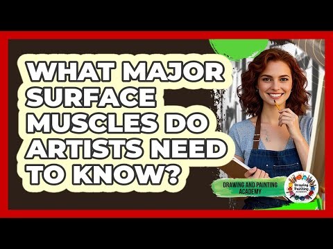 What Major Surface Muscles Do Artists Need To Know? - Drawing and Painting Academy