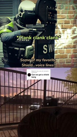 The Evolution and Function of Shields Throughout History