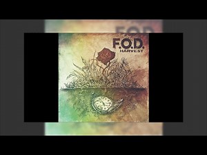 F.O.D. - Morally Blind