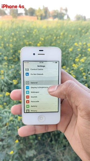 𝗖𝗮𝗻 𝘁𝗵𝗲 𝗶𝗣𝗵𝗼𝗻𝗲 𝟰𝘀 𝘀𝘁𝗶𝗹𝗹 𝘀𝘂𝗿𝘃𝗶𝘃𝗲 𝗶𝗻 𝟮𝟬𝟮𝟲? 🤯