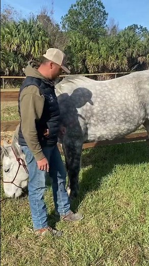 Saddle Fitting Mastery Part 1: Navigating Muscle Changes with Exercise Pt. 1