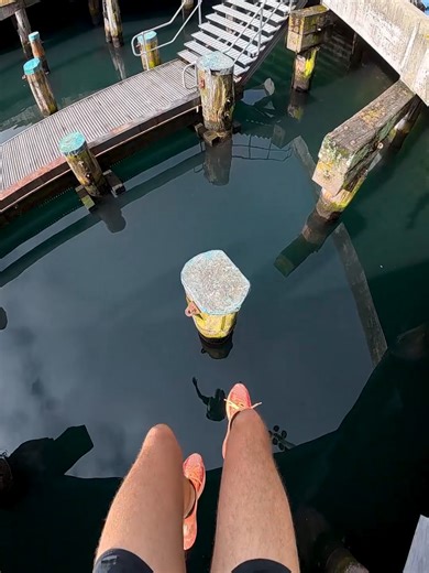 Creative Ways to Use Bananas in Your Recipes