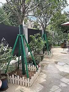 Tree Support Poles Heavy Duty, Metal Tree Branch Support Stakes for Tying Up Shrubs or Small Trees, 8 7 6 5 4 Ft Tall Fruit Tree Straightening Kit(Dia 35cm (13 5/8in),6ft)