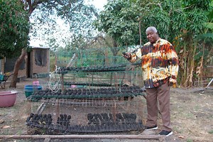 Think mango seeds are trash? This factory turns them into flour, fertiliser and briquettes