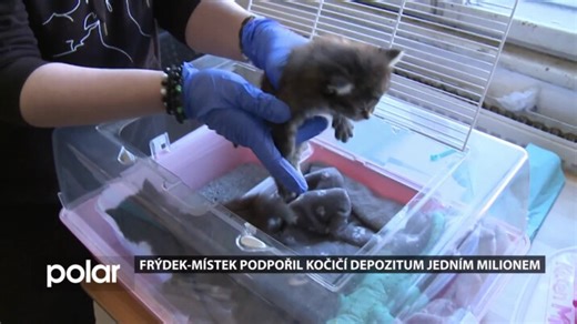 F-M: Milion pro Neposedné tlapky | Frýdek-Místek | Zprávy | POLAR - Moravskoslezská regionální televize