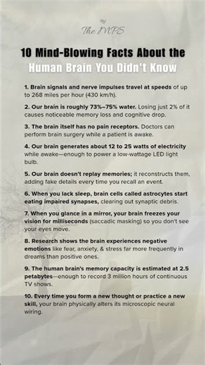 Insane Brain Secrets #PsychologyFacts #MindHacks