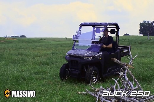 Massimo Motor Sports Buck 250 12 HP UTV with Hard Top Roof Windshield