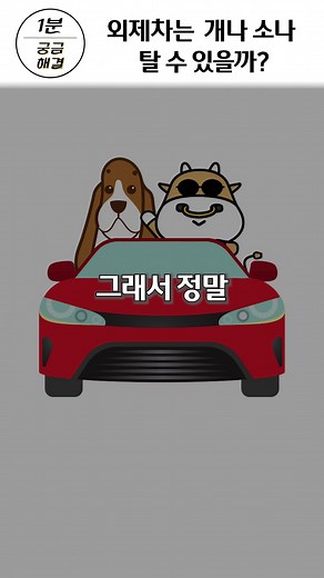 외제차 VS 국산차: 유지비용 비교 분석