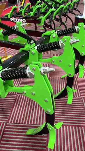 Aydın plow mini spring-loaded chisel