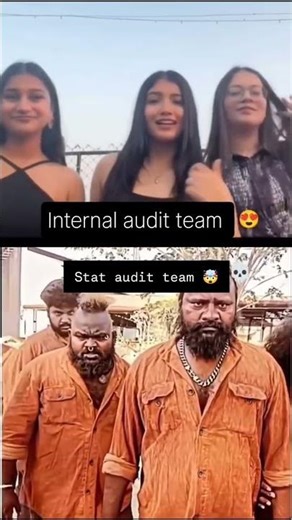 Internal Audit vs Statutory Audit #funny #new #viral #shorts