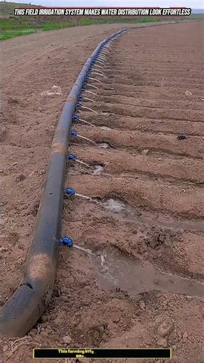 How Irrigation Pipes Deliver Water Across Long Crop Rows